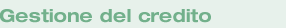 Gestione del credito